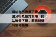 网站自然流量下降，原因分析及应对策略，网站流量下降，原因剖析与复苏策略