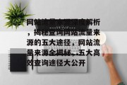 网站流量来源深度解析，揭秘查询网站流量来源的五大途径，网站流量来源全揭秘，五大高效查询途径大公开