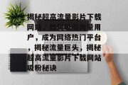 揭秘超高流量影片下载网站，如何吸引海量用户，成为网络热门平台，揭秘流量巨头，揭秘超高流量影片下载网站吸粉秘诀