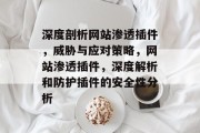 深度剖析网站渗透插件,威胁与应对策略,网站渗透插件,深度解析和防护插件的安全性分析 深度剖析网站渗透插件,威胁与应对策略,网站渗透插件,深度解析和防护插件的安全性分析