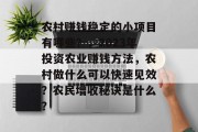 农村赚钱稳定的小项目有哪些?,2023年投资农业赚钱方法,农村做什么可以快速见效?农民增收秘诀是什么? 农村赚钱稳定的小项目有哪些?,2023年投资农业赚钱方法,农村做什么可以快速见效?农民增收秘诀是什么?