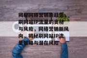揭秘网络营销新趋势，刷网站IP流量的奥秘与风险，网络营销新风向，揭秘刷网站IP流量策略与潜在风险