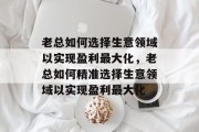 老总如何选择生意领域以实现盈利最大化,老总如何精准选择生意领域以实现盈利最大化 老总如何选择生意领域以实现盈利最大化,老总如何精准选择生意领域以实现盈利最大化