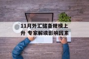 11月外汇储备规模上升 专家解读影响因素 11月外汇储备规模上升 专家解读影响因素