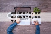 湘阴的致富之路,湘阴经济的繁荣之路,致富之道