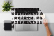 揭秘网站刷流量原理，流量背后的秘密与影响，网站流量之谜，揭秘刷流量真相及其深远影响