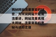 揭秘网站流量背后的秘密，为何说网站只能用流量进，网站流量真相大揭秘，流量背后的奥秘与进阶之道