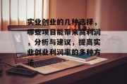 实业创业的几种选择,哪些项目能带来高利润,分析与建议,提高实业创业利润率的多种方法 实业创业的几种选择,哪些项目能带来高利润,分析与建议,提高实业创业利润率的多种方法
