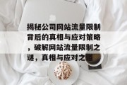 揭秘公司网站流量限制背后的真相与应对策略，破解网站流量限制之谜，真相与应对之道