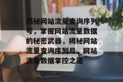 揭秘网站流量查询序列号，掌握网站流量数据的秘密武器，揭秘网站流量查询序列号，网站流量数据掌控之道