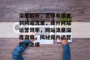 深度解析，怎样有效看到网站流量，提升网站运营效率，网站流量深度洞察，揭秘提升运营效率之道