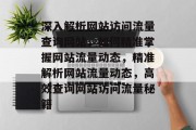 深入解析网站访问流量查询网站，如何精准掌握网站流量动态，精准解析网站流量动态，高效查询网站访问流量秘籍