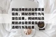 网站违规挑战谷歌质量指南，揭秘违规行为与潜在后果，揭秘网站违规挑战谷歌质量指南的违规行为及后果