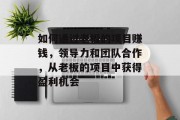 如何通过老板的项目赚钱,领导力和团队合作,从老板的项目中获得盈利机会 如何通过老板的项目赚钱,领导力和团队合作,从老板的项目中获得盈利机会