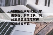 精准解析网站流量，掌握数据，洞察增长，网站流量数据深度解析，解锁增长密码