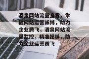 酒泉网站流量查看，掌握网站运营脉搏，助力企业腾飞，酒泉网站流量监控，精准把脉，助力企业运营腾飞