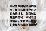 揭秘免费网站域名的秘密，如何选择适合自己的免费域名，免费域名背后的奥秘，揭秘与选择指南，免费域名背后的奥秘与选择指南揭秘