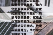 合肥建网站公司盘点，数量与质量并重，助力企业互联网发展，合肥优质建站公司推荐，质量与数量兼备，赋能企业互联网腾飞，合肥优质建站公司精选，数量与质量并行，助力企业互联网飞跃