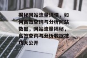 揭秘网站流量详情，如何高效查询与分析网站数据，网站流量揭秘，高效查询与分析数据技巧大公开