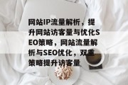 网站IP流量解析，提升网站访客量与优化SEO策略，网站流量解析与SEO优化，双重策略提升访客量