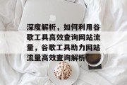 深度解析，如何利用谷歌工具高效查询网站流量，谷歌工具助力网站流量高效查询解析