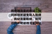 揭秘蹭流量的网站，如何辨别并避免陷入陷阱，揭秘流量陷阱，如何识别并规避蹭流量网站