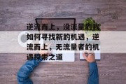 逆流而上，没流量的我如何寻找新的机遇，逆流而上，无流量者的机遇探索之道