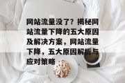 网站流量没了？揭秘网站流量下降的五大原因及解决方案，网站流量下降，五大原因解析与应对策略