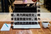 如何通过流量查询网站，精准把握网站流量数据，助力网站优化，精准流量数据分析，助力网站优化之流量查询攻略