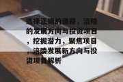 选择正确的道路,涪陵的发展方向与投资项目,挖掘潜力,聚焦项目,涪陵发展新方向与投资项目解析