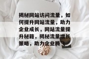 揭秘网站访问流量，如何提升网站流量，助力企业成长，网站流量提升秘籍，揭秘流量增长策略，助力企业腾飞