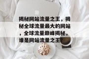 揭秘网站流量之王，揭秘全球流量最大的网站，全球流量巅峰揭秘，谁是网站流量之王？