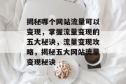揭秘哪个网站流量可以变现，掌握流量变现的五大秘诀，流量变现攻略，揭秘五大网站流量变现秘诀