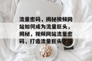 流量密码，揭秘视频网站如何成为流量巨头，揭秘，视频网站流量密码，打造流量巨头之路