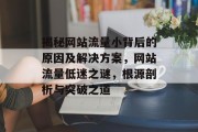 揭秘网站流量小背后的原因及解决方案，网站流量低迷之谜，根源剖析与突破之道