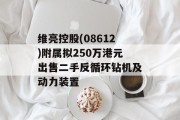 维亮控股(08612)附属拟250万港元出售二手反循环钻机及动力装置 维亮控股(08612)附属拟250万港元出售二手反循环钻机及动力装置