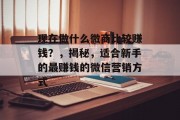 现在做什么微商比较赚钱?,揭秘,适合新手的最赚钱的微信营销方式 现在做什么微商比较赚钱?,揭秘,适合新手的最赚钱的微信营销方式