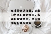 高流量网站行业，崛起的数字时代新风口，数字时代新风口，高流量网站行业的崛起