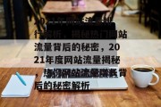 2021年网站流量排行解析，揭秘热门网站流量背后的秘密，2021年度网站流量揭秘，热门网站流量增长背后的秘密解析