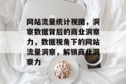 网站流量统计视图，洞察数据背后的商业洞察力，数据视角下的网站流量洞察，解锁商业洞察力