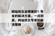 网站优化去哪里好？专业的解决方案，一问到底，网站优化专家的解决策略