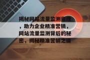 揭秘网站流量监测原理，助力企业精准营销，网站流量监测背后的秘密，揭秘精准营销之道