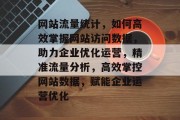 网站流量统计，如何高效掌握网站访问数据，助力企业优化运营，精准流量分析，高效掌控网站数据，赋能企业运营优化