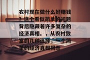 农村现在做什么好赚钱?这个看似简单的问题背后隐藏着许多复杂的经济真相。,从农村致富的几种选择,一个简单的经济真相揭示 农村现在做什么好赚钱?这个看似简单的问题背后隐藏着许多复杂的经济真相。,从农村致富的几种选择,一个简单的经济真相揭示