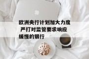 欧洲央行计划加大力度 严打对监管要求响应缓慢的银行 欧洲央行计划加大力度 严打对监管要求响应缓慢的银行