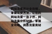 网站流量统计全攻略，掌握这些方法，让你的网站流量一目了然，网站流量分析秘籍，掌握全攻略，洞悉流量奥秘