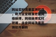 网站实时流量监测软件，助力企业精准把握网络脉搏，网络脉搏实时把握，企业网站流量监测软件解析