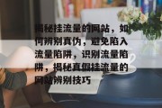 揭秘挂流量的网站，如何辨别真伪，避免陷入流量陷阱，识别流量陷阱，揭秘真假挂流量的网站辨别技巧