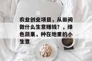 农业创业项目,从田间做什么生意赚钱?,绿色蔬果,种在地里的小生意 农业创业项目,从田间做什么生意赚钱?,绿色蔬果,种在地里的小生意