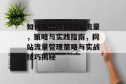 如何有效限制网站流量，策略与实践指南，网站流量管理策略与实战技巧揭秘